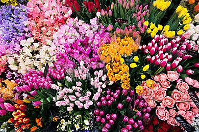 动作肉鸽游戏《护林猿神》宣布10月22日开启EA